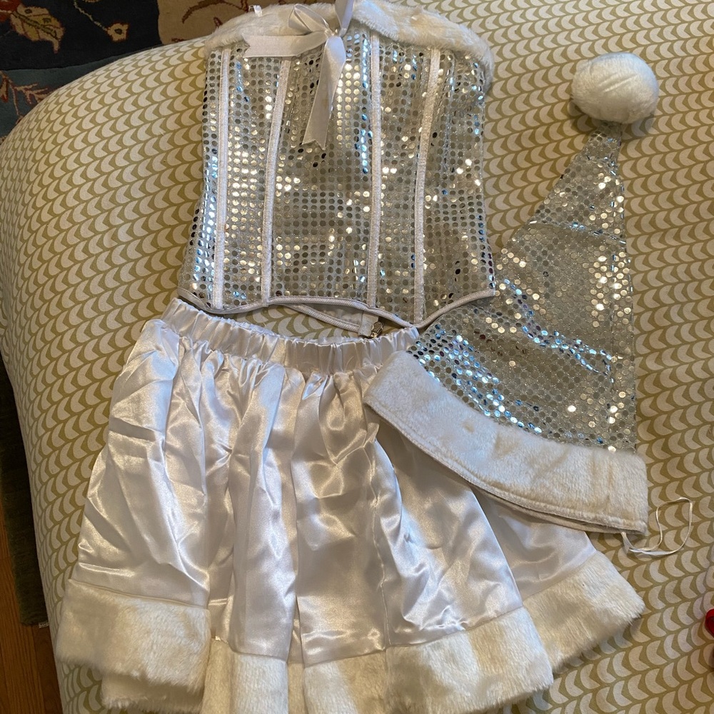 Silvery Winter Wonderland Costume by Rubie’s